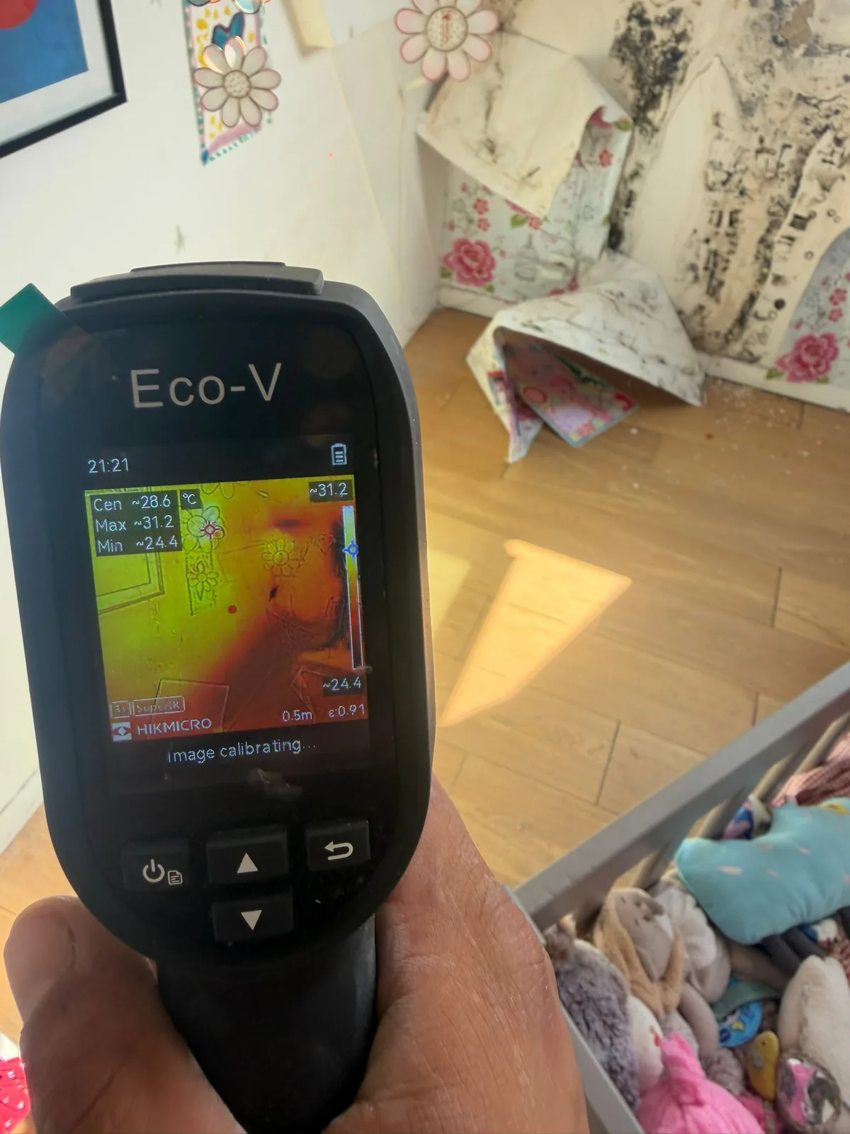 Thermographie d'un mur touché par l'humidité et les moisissures